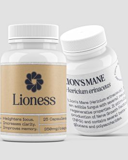 Lions Mane Supplement Capsules