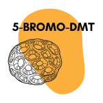 What is 5-Bromo-DMT? (SpongeBob DMT)