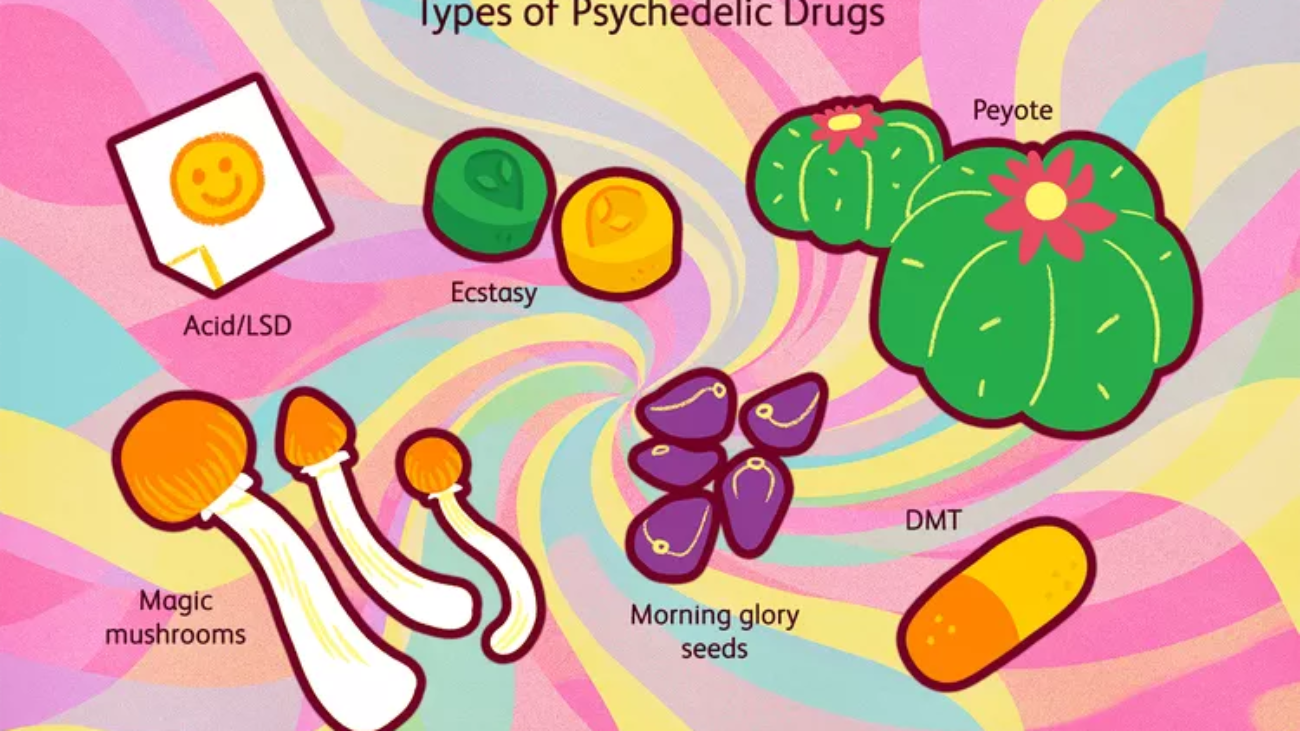 What Are Psychedelic Drugs?